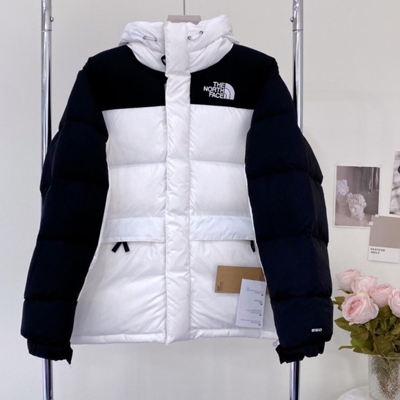 The North Face Other - The North Face Puffer Jacket
